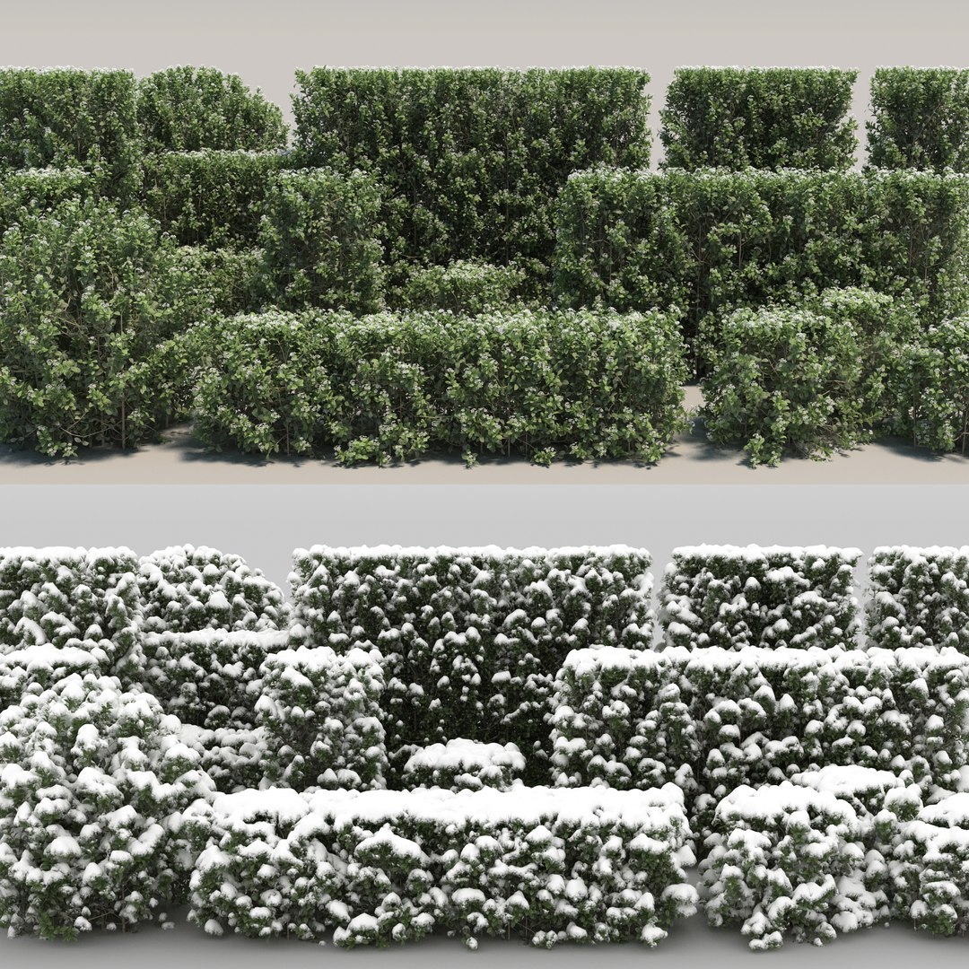 snow snowy bushwall max https://p.turbosquid.com/ts-thumb/EB/uK0oRO/Uj/03/jpg/1670758318/1920x1080/fit_q87/770b597aea590818325dff3623ebc6bf6780f67c/03.jpg