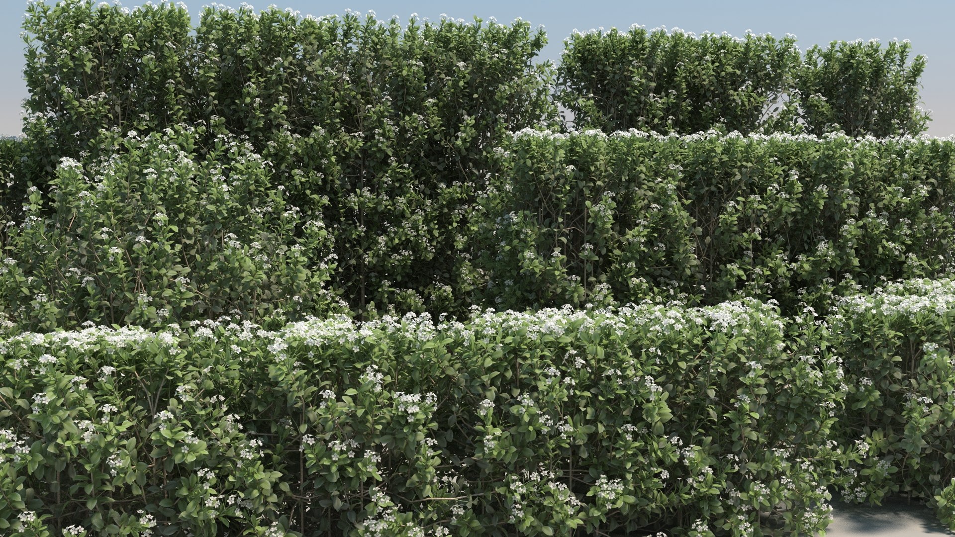 snow snowy bushwall max https://p.turbosquid.com/ts-thumb/EB/uK0oRO/VX/21/jpg/1670758758/1920x1080/fit_q87/aebab87c29a5464c79f7ab9b0af63b0487044cfd/21.jpg