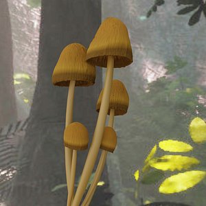 3D Magic Mushroom Model