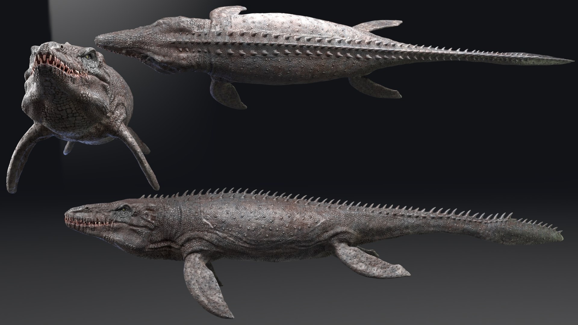 Mosasaurus - Sea Monster Series 4 3D model https://p.turbosquid.com/ts-thumb/EC/6WNOy3/1p/07/jpg/1631721484/1920x1080/fit_q87/8362d8ab9ff31c2584562a465ddee505aef30cb5/07.jpg