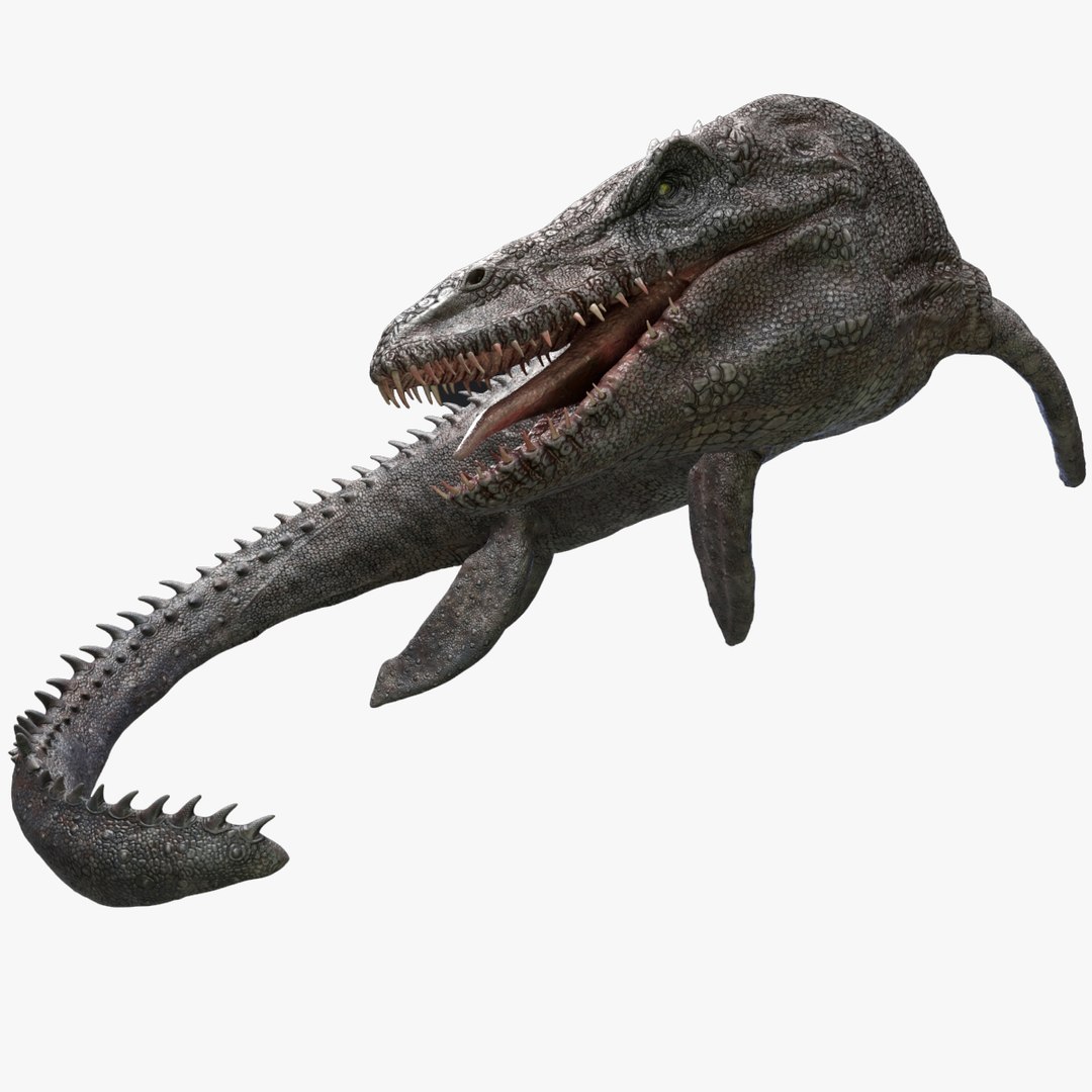 Mosasaurus - Sea Monster Series 4 3D model - TurboSquid 1787605