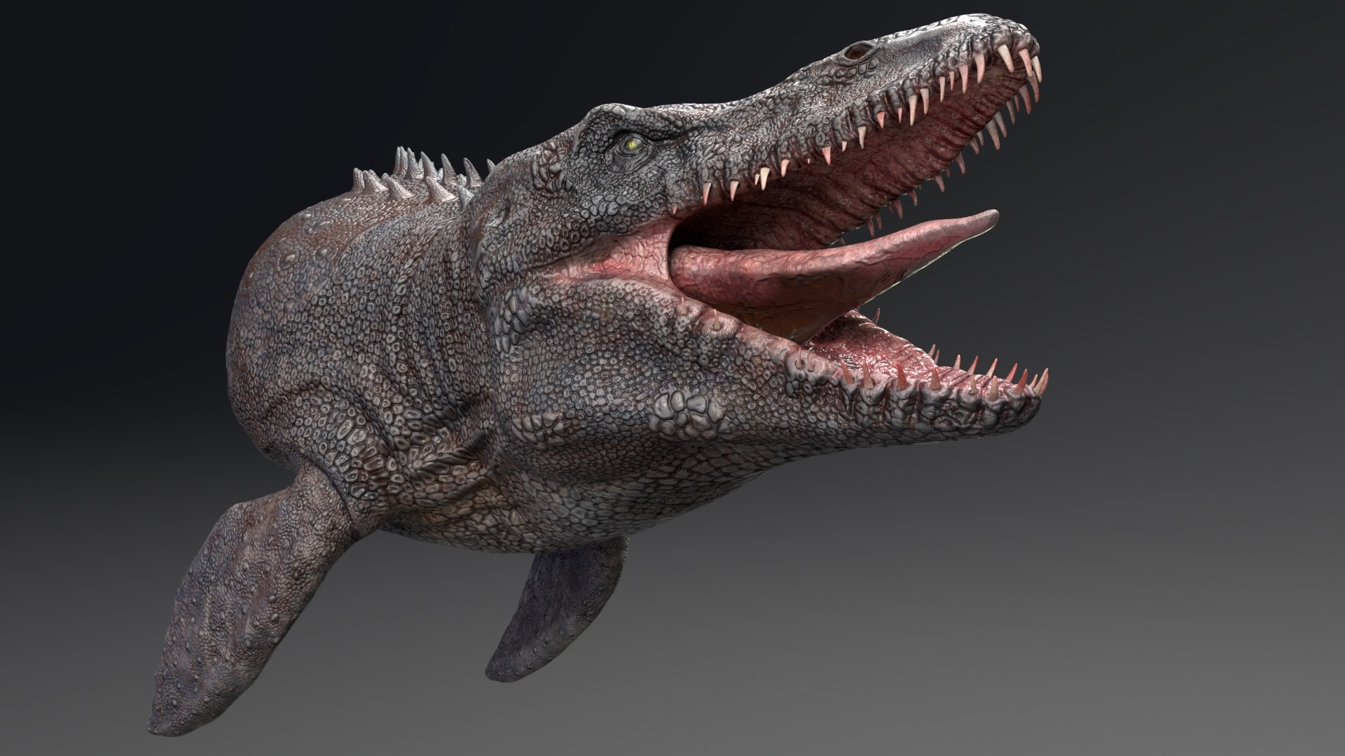 Mosasaurus - Sea Monster Series 4 3D model https://p.turbosquid.com/ts-thumb/EC/6WNOy3/Se/11/jpg/1631721488/1920x1080/fit_q87/513fd53d9f01fedf56301d140407ffb7a9faafb3/11.jpg