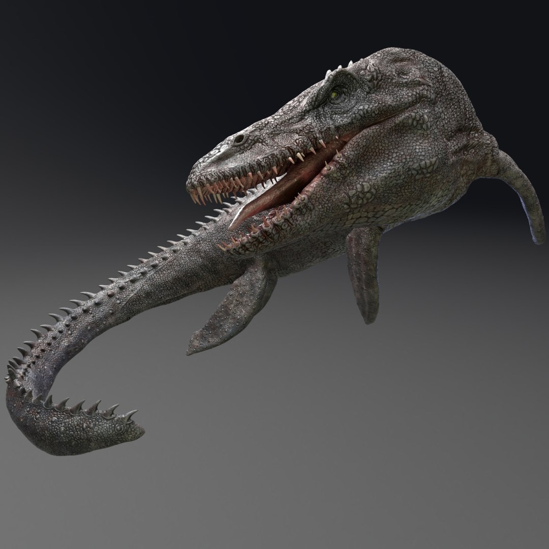 Mosasaurus - Sea Monster Series 4 3D model https://p.turbosquid.com/ts-thumb/EC/6WNOy3/tH/01df/jpg/1631721474/1920x1080/fit_q87/5e850d996ee3b6548a373347e3a66e1c8d55ac73/01df.jpg