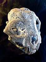 Fiigree Anatomical Bobcat Skull
