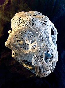 Fiigree Anatomical Bobcat Skull