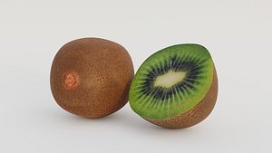 Realistic Kiwi model