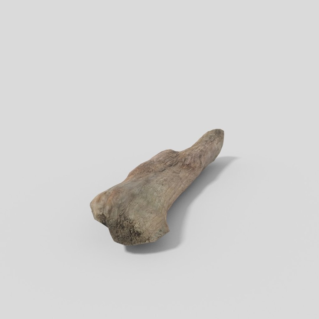 3D driftwood 01 https://p.turbosquid.com/ts-thumb/EC/aIbrzd/3kKmP9tn/woodold04low_03/jpg/1521363724/1920x1080/fit_q87/af23bcc72d0af582d36f360873418a6b5e13322e/woodold04low_03.jpg