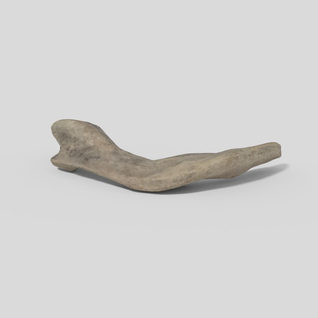 3D driftwood 01 https://p.turbosquid.com/ts-thumb/EC/aIbrzd/9OfQqI8F/woodold01low_04/jpg/1521363722/1920x1080/fit_q87/ff7ccf53c1cf4a22d911702fafe90e99e01a36d2/woodold01low_04.jpg