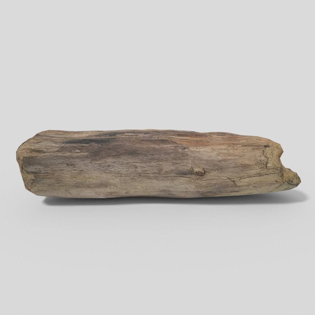 3D driftwood 01 https://p.turbosquid.com/ts-thumb/EC/aIbrzd/CvwqesB7/woodold05low_02/jpg/1521363724/1920x1080/fit_q87/5f9b66be0c46bdea57abe1dbba3b090e34434f01/woodold05low_02.jpg