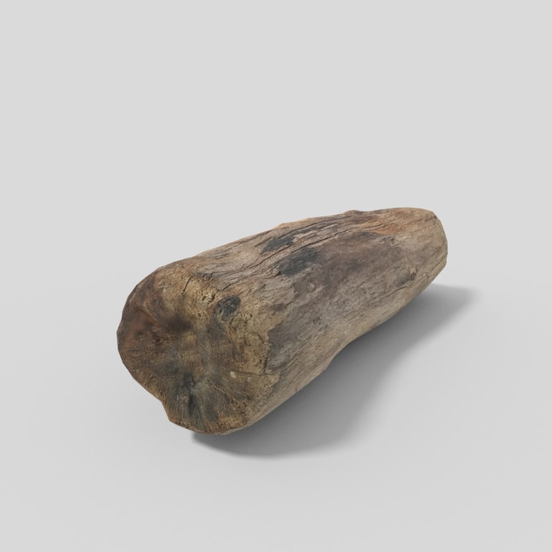 3D driftwood 01 https://p.turbosquid.com/ts-thumb/EC/aIbrzd/FglOj2Lr/woodold05low_03/jpg/1521363724/1920x1080/fit_q87/dc19cea8abff43eefe3157c6724b42d9ab0c6432/woodold05low_03.jpg