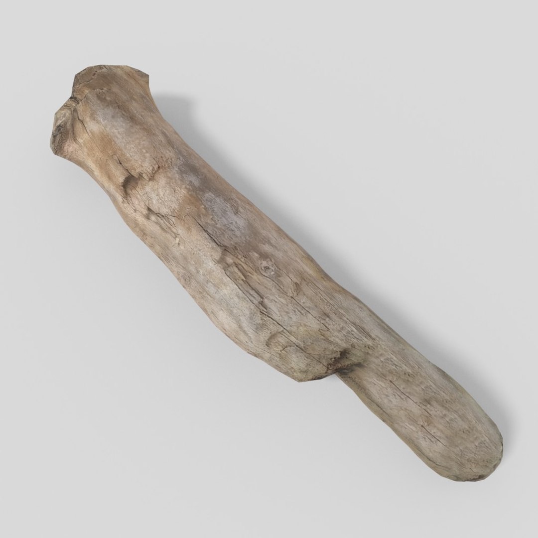 3D driftwood 01 https://p.turbosquid.com/ts-thumb/EC/aIbrzd/IdiDexCe/woodold04low_10/jpg/1521363724/1920x1080/fit_q87/d6abede46636f553f4af75c3b2309432cd0cb61d/woodold04low_10.jpg