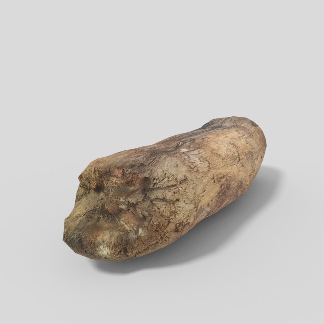 3D driftwood 01 https://p.turbosquid.com/ts-thumb/EC/aIbrzd/LTiA4Oxs/woodold05low_07/jpg/1521363724/1920x1080/fit_q87/3f5cc6a4d3182b40ba971ace76c6487d2530454b/woodold05low_07.jpg