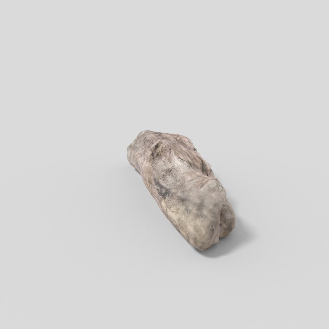 3D driftwood 01 https://p.turbosquid.com/ts-thumb/EC/aIbrzd/PwusQVst/woodold03low_04/jpg/1521363723/1920x1080/fit_q87/271facbafe990996101c1e93e1225cbc2bc8ffb4/woodold03low_04.jpg