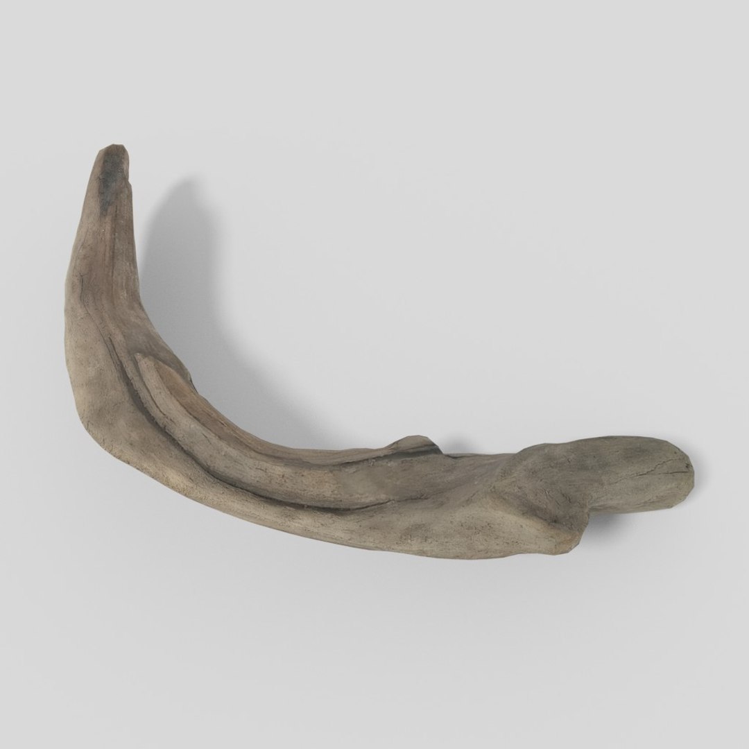 3D driftwood 01 https://p.turbosquid.com/ts-thumb/EC/aIbrzd/Q4yQP7yf/woodold01low_10/jpg/1521363722/1920x1080/fit_q87/9e39ed989ae20f1820a247e1da53a5df8ef9407c/woodold01low_10.jpg