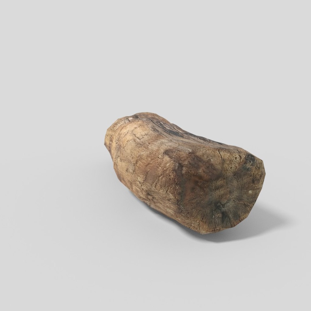 3D driftwood 01 https://p.turbosquid.com/ts-thumb/EC/aIbrzd/QctAX106/woodold05low_04/jpg/1521363724/1920x1080/fit_q87/6057c9629dff26c86f31ef2c065d74830787facb/woodold05low_04.jpg