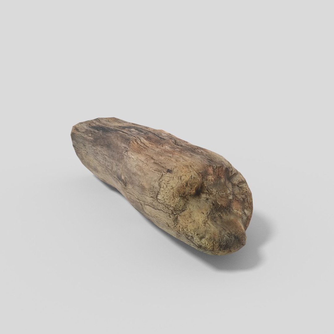 3D driftwood 01 https://p.turbosquid.com/ts-thumb/EC/aIbrzd/Qv1pDq1I/woodold05low_08/jpg/1521363725/1920x1080/fit_q87/4e382dd2d34a0c467bab07a16e7e706c2e12836f/woodold05low_08.jpg