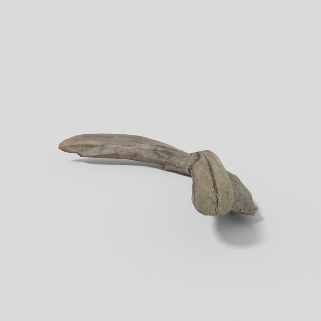 3D driftwood 01 https://p.turbosquid.com/ts-thumb/EC/aIbrzd/Sqh7oRFL/woodold01low_07/jpg/1521363722/1920x1080/fit_q87/790ef4e4c6161a3754e91df0a8f1097b90062347/woodold01low_07.jpg