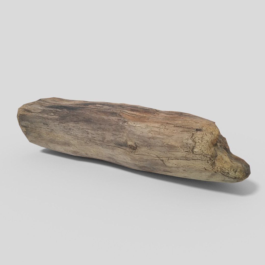 3D driftwood 01 https://p.turbosquid.com/ts-thumb/EC/aIbrzd/VgZ9Lhms/woodold05low_01/jpg/1521363724/1920x1080/fit_q87/42eedc921f6b83c9e77067378c7fd1e72de3ede1/woodold05low_01.jpg