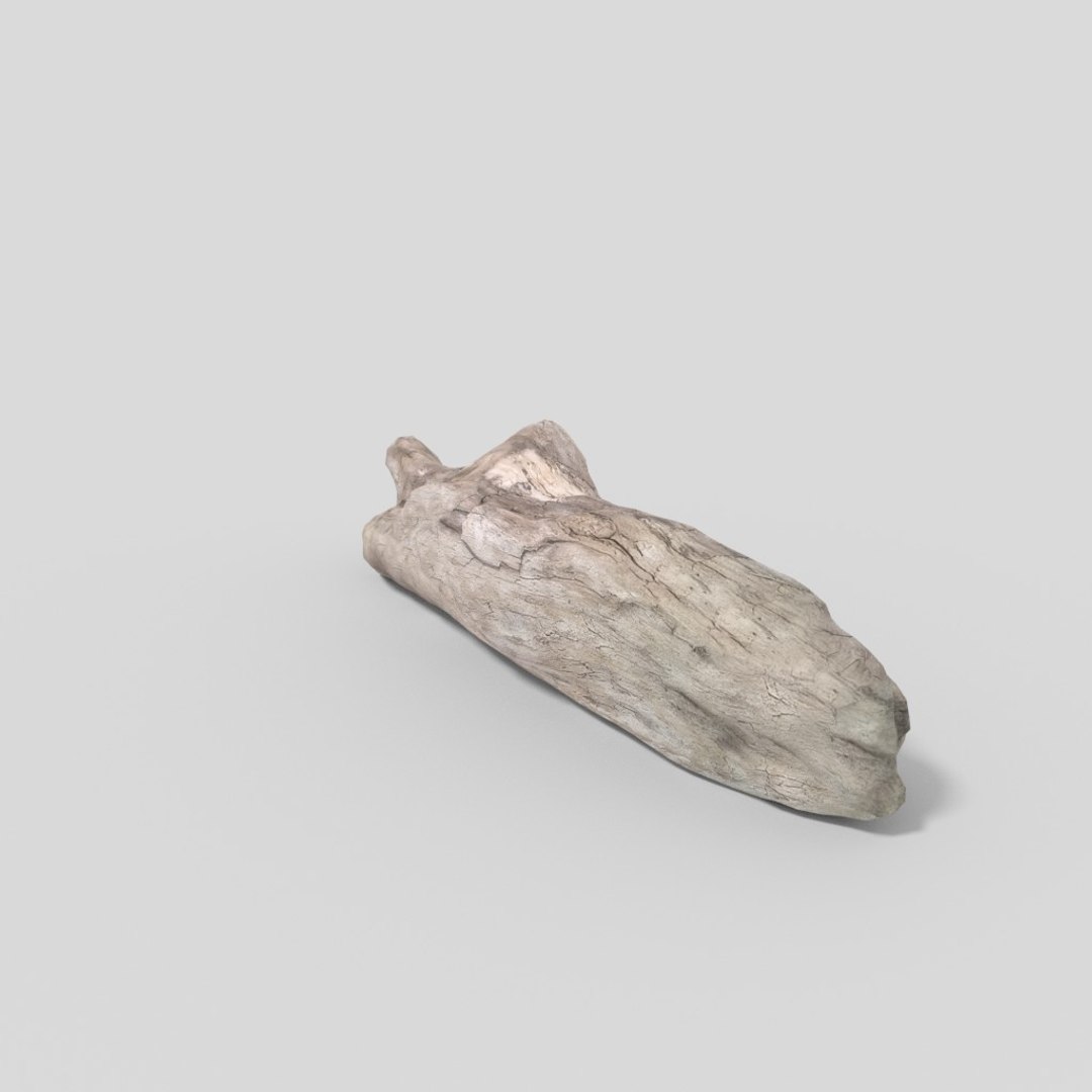 3D driftwood 01 https://p.turbosquid.com/ts-thumb/EC/aIbrzd/looBvIIp/woodold03low_08/jpg/1521363723/1920x1080/fit_q87/0c3201227c450226e26a4482fab42604c0ae521e/woodold03low_08.jpg