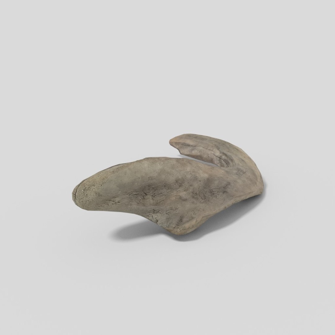 3D driftwood 01 https://p.turbosquid.com/ts-thumb/EC/aIbrzd/namtRKXS/woodold01low_06/jpg/1521363722/1920x1080/fit_q87/d043cf9fb74d0627ac2d07911894d6a68cd22e09/woodold01low_06.jpg