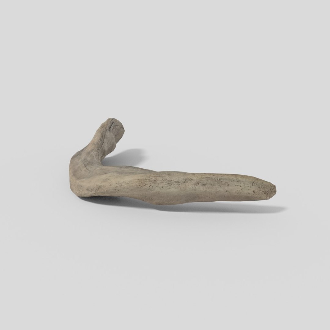 3D driftwood 01 https://p.turbosquid.com/ts-thumb/EC/aIbrzd/t3OZir8L/woodold01low_03/jpg/1521363722/1920x1080/fit_q87/8afc982c8c486072bcaee1a2566a89e763395ed3/woodold01low_03.jpg