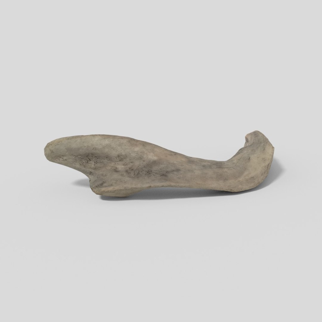 3D driftwood 01 https://p.turbosquid.com/ts-thumb/EC/aIbrzd/ttRztioZ/woodold01low_05/jpg/1521363722/1920x1080/fit_q87/e55ad55863649ec6fefc19a915a21ff53116f20e/woodold01low_05.jpg