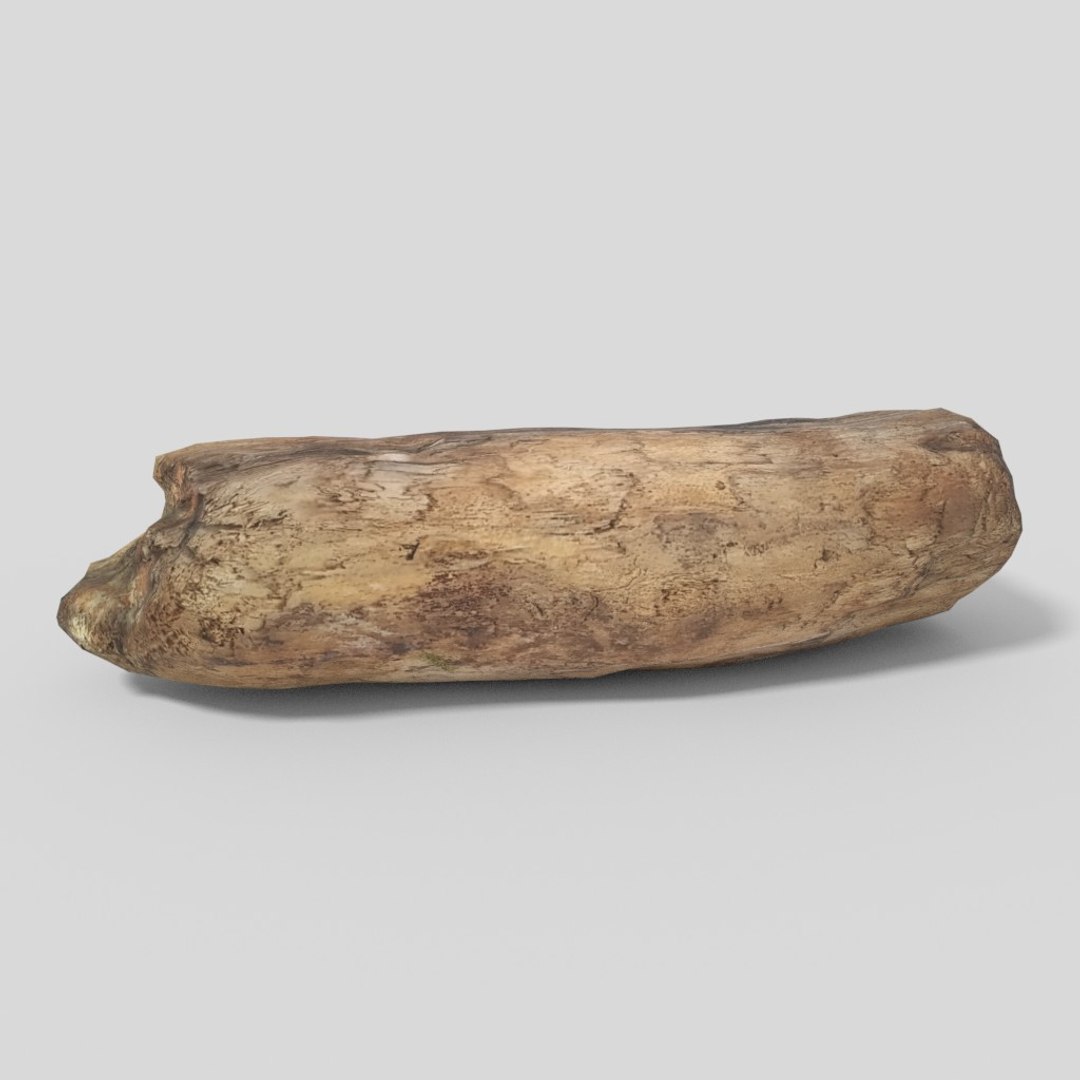 3D driftwood 01 https://p.turbosquid.com/ts-thumb/EC/aIbrzd/ye5m7OyZ/woodold05low_06/jpg/1521363724/1920x1080/fit_q87/ac1112ee91bd593d3d870b5cd96766ef7a464860/woodold05low_06.jpg