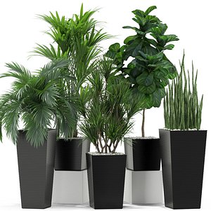 3D model plants 373