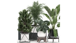 Houseplants in a flowerpot for the interior 928 model