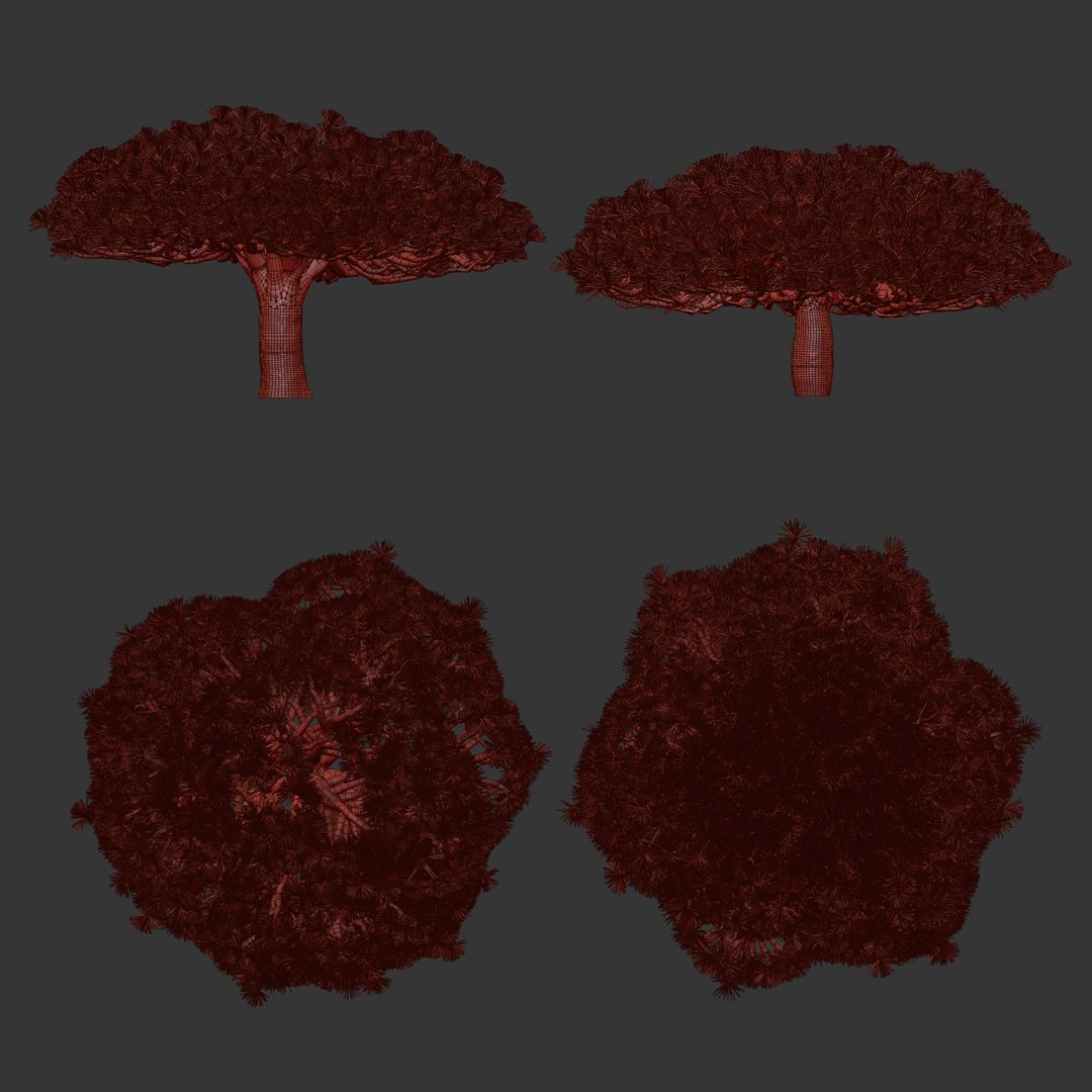 3D Socotra dragon trees vol 14-3dmodel model https://p.turbosquid.com/ts-thumb/EC/skyXAU/b1/12b/jpg/1722442487/1920x1080/fit_q87/424f784019be2251b3f981ce46420c2eb71fe1a9/12b.jpg