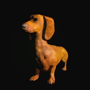 Datchshund1