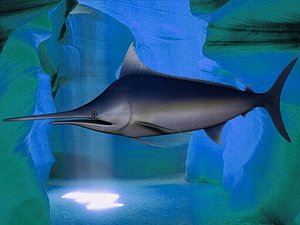 BlueMarlin
