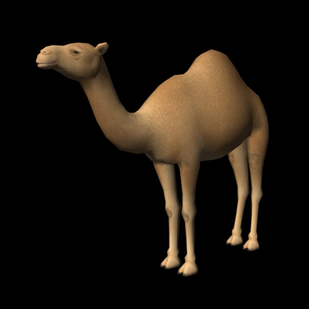 Camel Edge Loop 3d Obj
