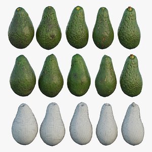 Pinkerton Avocado 3D model