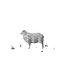 Low Poly Farm Animals / Sheep