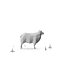 Low Poly Farm Animals / Sheep