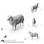 Low Poly Farm Animals / Sheep