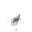Low Poly Farm Animals / Sheep