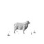 Low Poly Farm Animals / Sheep