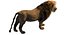 3D lion rigged fur model
