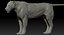3D lion rigged fur model