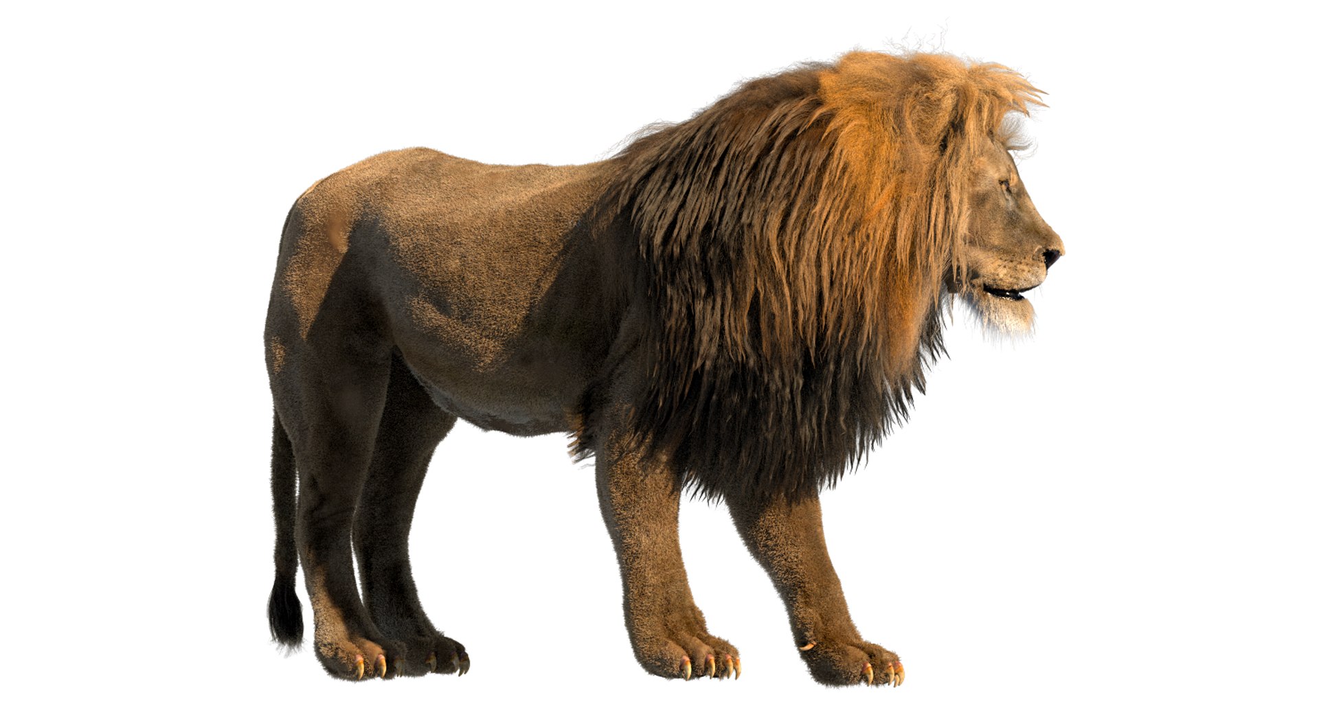 3D lion rigged fur model - TurboSquid 1286964