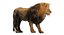 3D lion rigged fur model