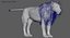 3D lion rigged fur model