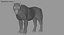 3D lion rigged fur model
