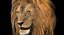 3D lion rigged fur model