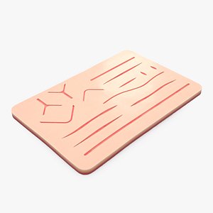 Silicone Suture Practice Pad 3D model