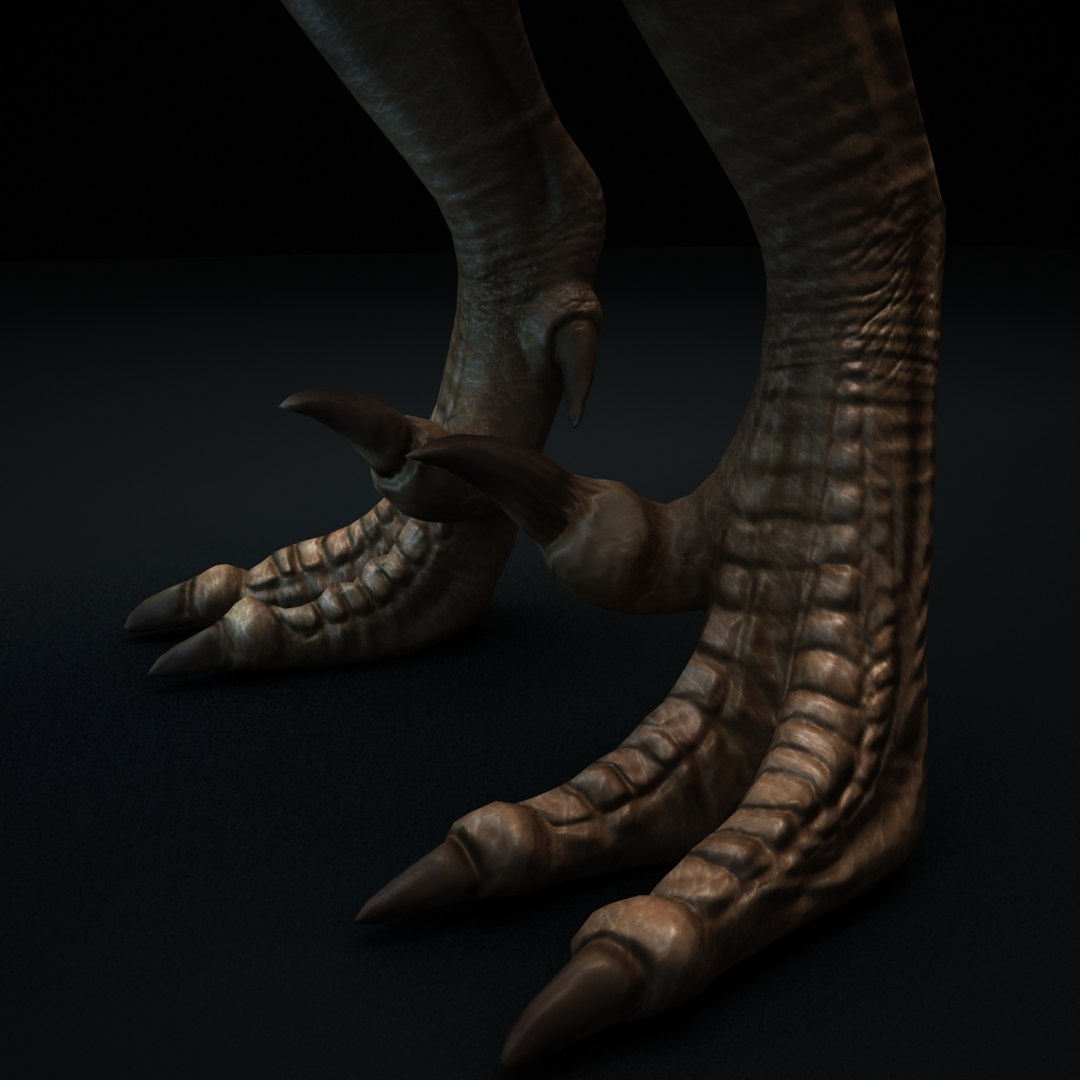 3d model velociraptor v-ray https://p.turbosquid.com/ts-thumb/EE/03VsAi/9gCL1Bkv/raptor_render_09/jpg/1436704894/1920x1080/fit_q87/75de0787cbec787a8fce2b59e75319016067d69f/raptor_render_09.jpg