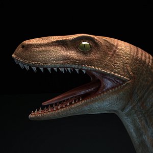 Velociraptor (Raptor)