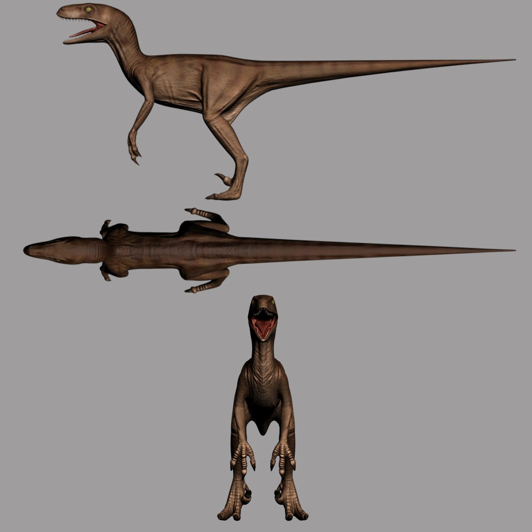 3d model velociraptor v-ray https://p.turbosquid.com/ts-thumb/EE/03VsAi/mrvLzJcO/raptor_render_12/jpg/1436704894/1920x1080/fit_q87/07ca3491852488f0a49205b5727adda439ffcab0/raptor_render_12.jpg